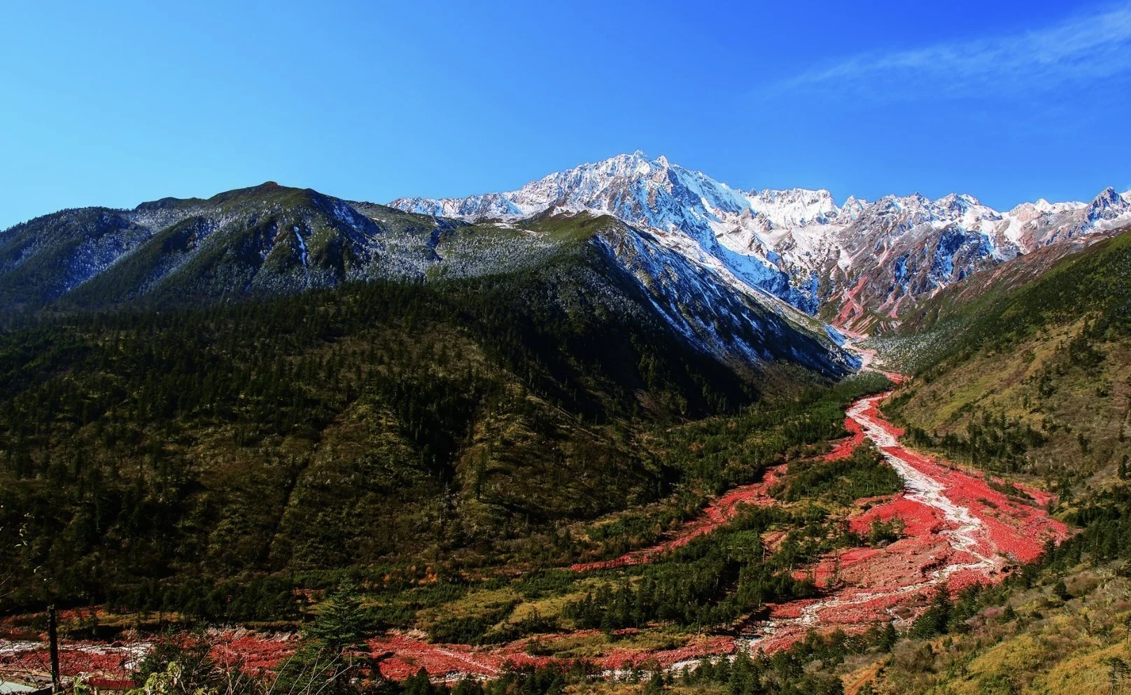 这里的风景从雪山上绵延下来，如同大地血脉