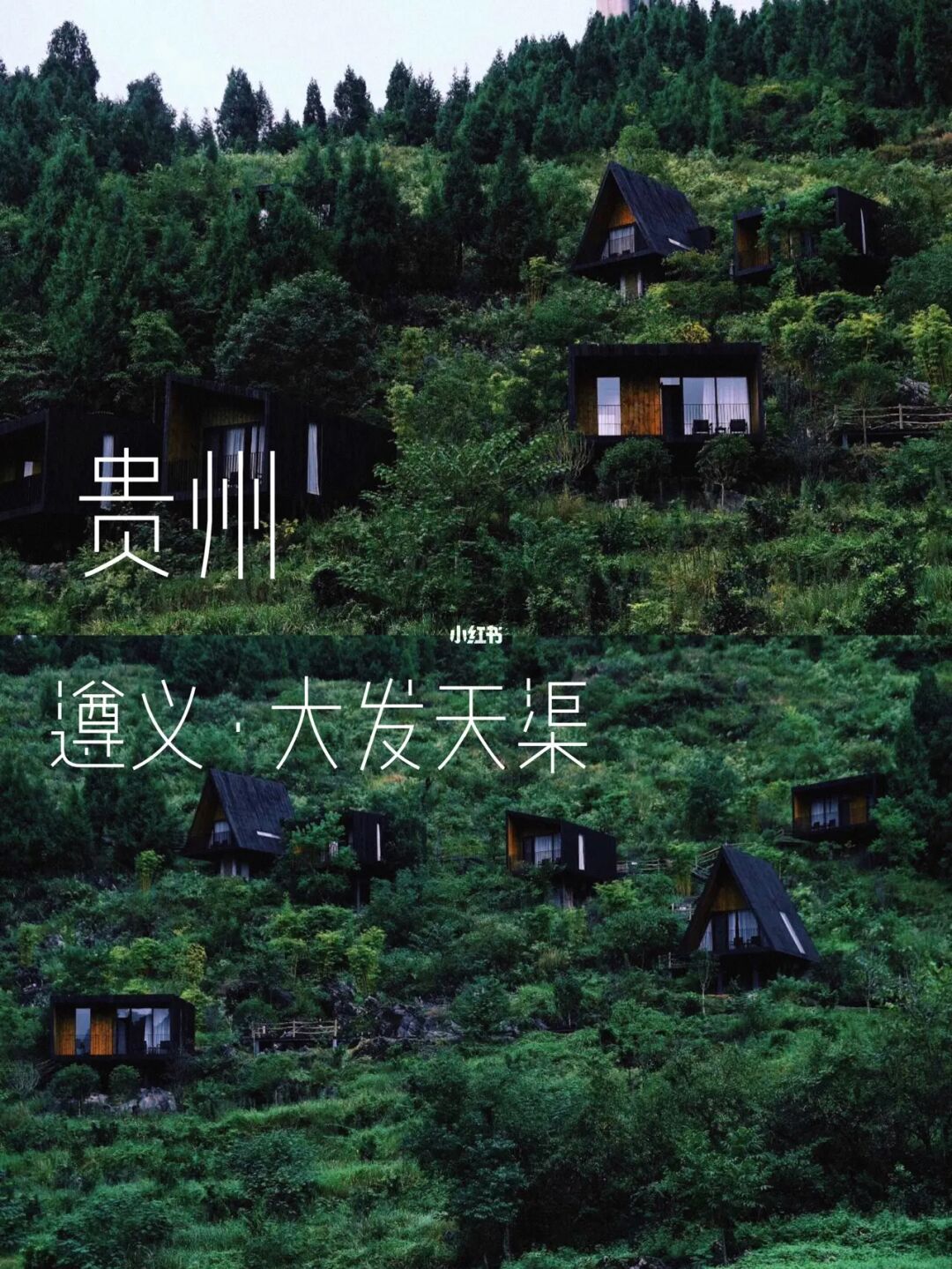 贵州亲子游 | 藏在大山里的森林木屋🏕