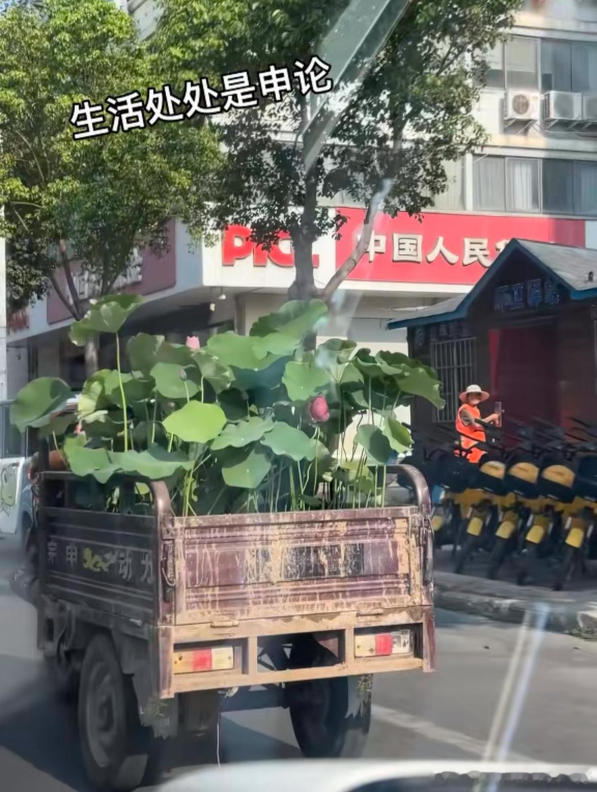 第一次觉得中文这么难理解[揣手] ​​​