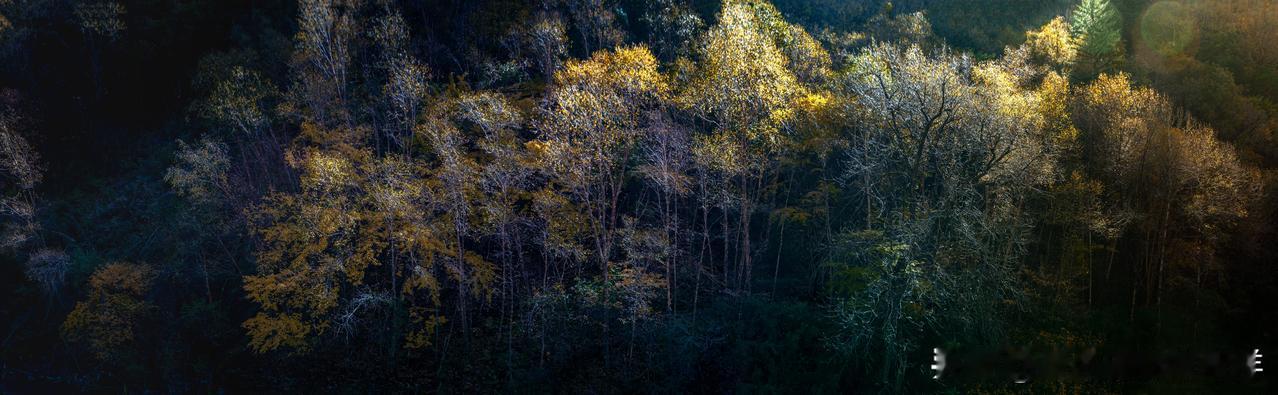 摄影作品：层林尽染·川西秋韵
（系列作品陆续分享-全图+局部）
创作年份：202