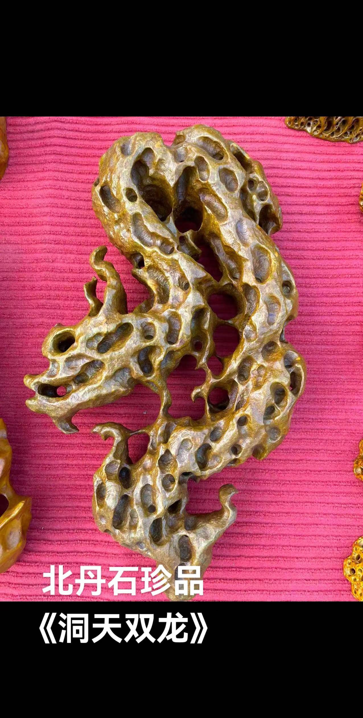 龙王