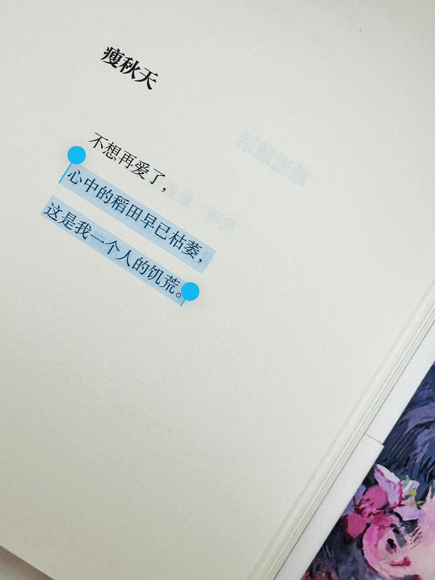 惊竹娇《晚来急》想安利给所有少年的诗集～“少年所爱所期待之事物，会迟到...