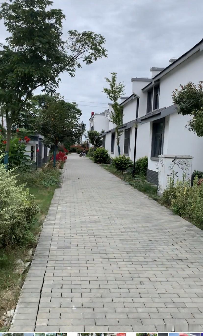 昨天中午吃过饭到，和老婆到小区外遛个弯，刚刚走出小区不远，迎面走来一个胖胖的女人