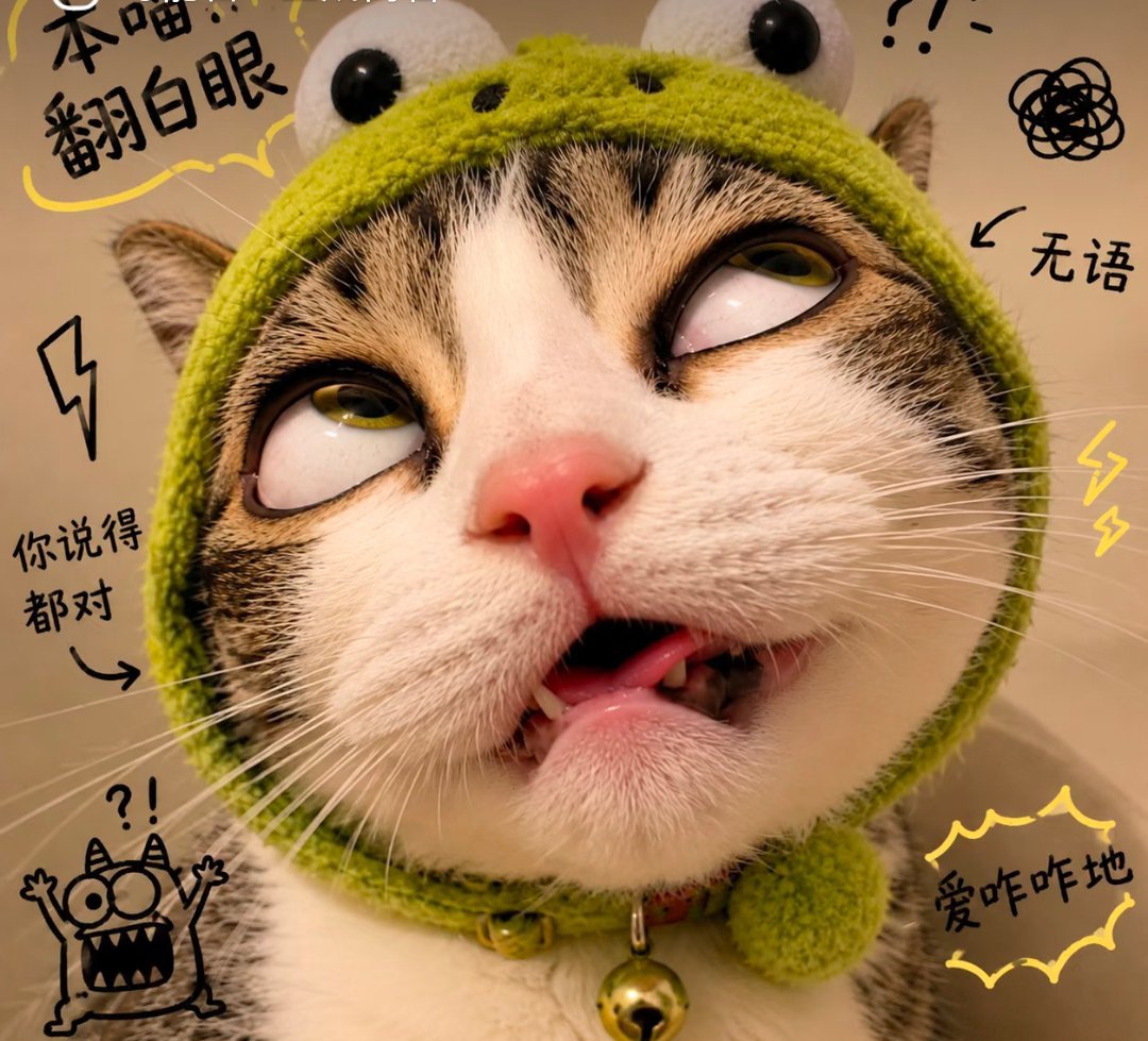 我家那口子太爱钓鱼，突然想到就问了一嘴我:你要是掉水里了我该做什么？他:你看着我