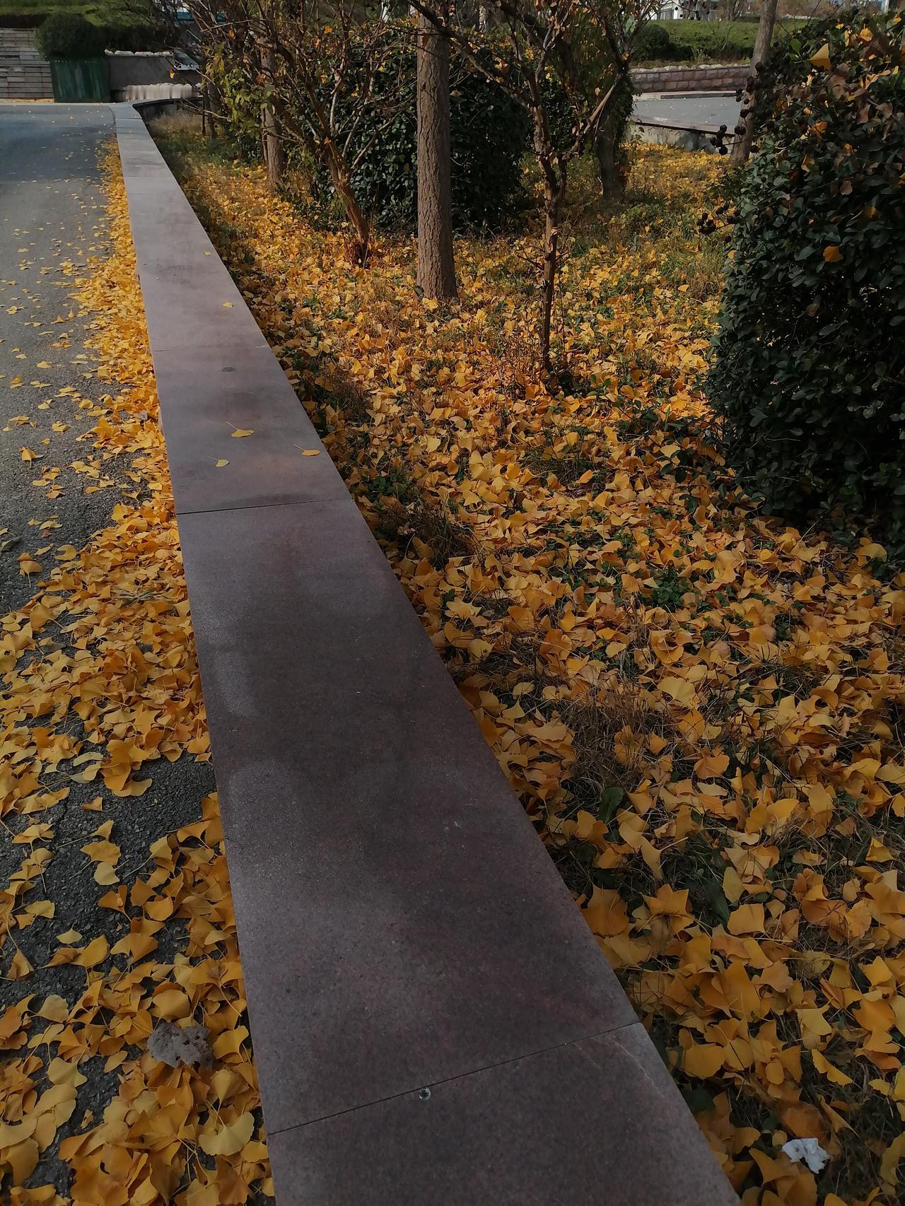 珍惜感恩，知足不攀比。