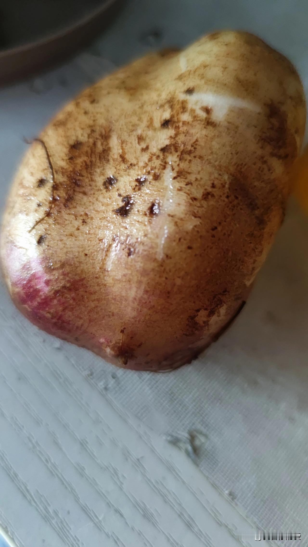 雪莲果这东西着实神奇。它原产自南美洲，在我国云南、山东等地均有种植。
这果子吃起