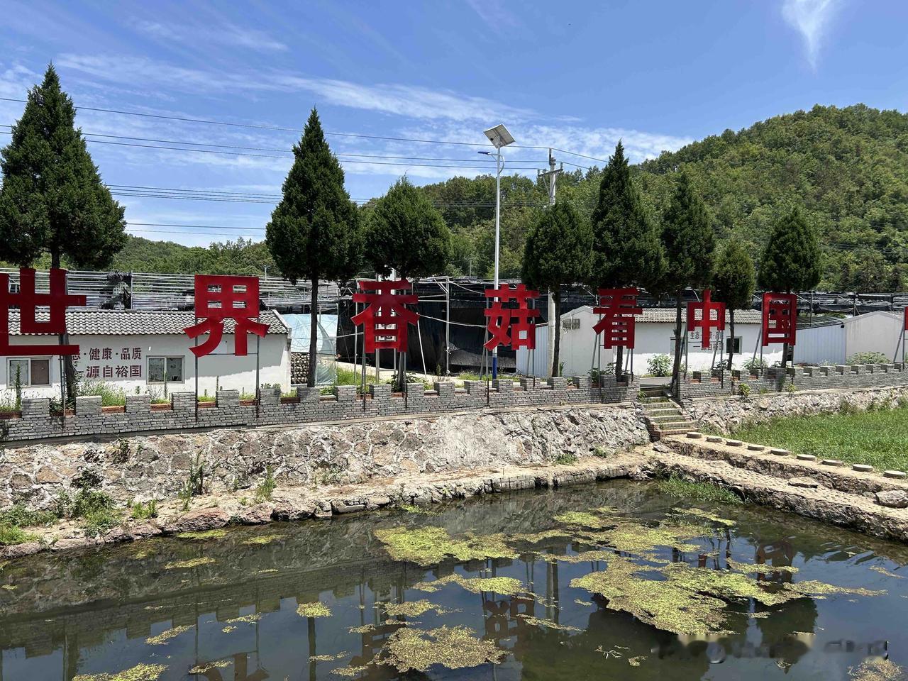 记录我的2025突然发现辞职了，不再朝九晚五的上班其实真心是件好事！辞职3个月，