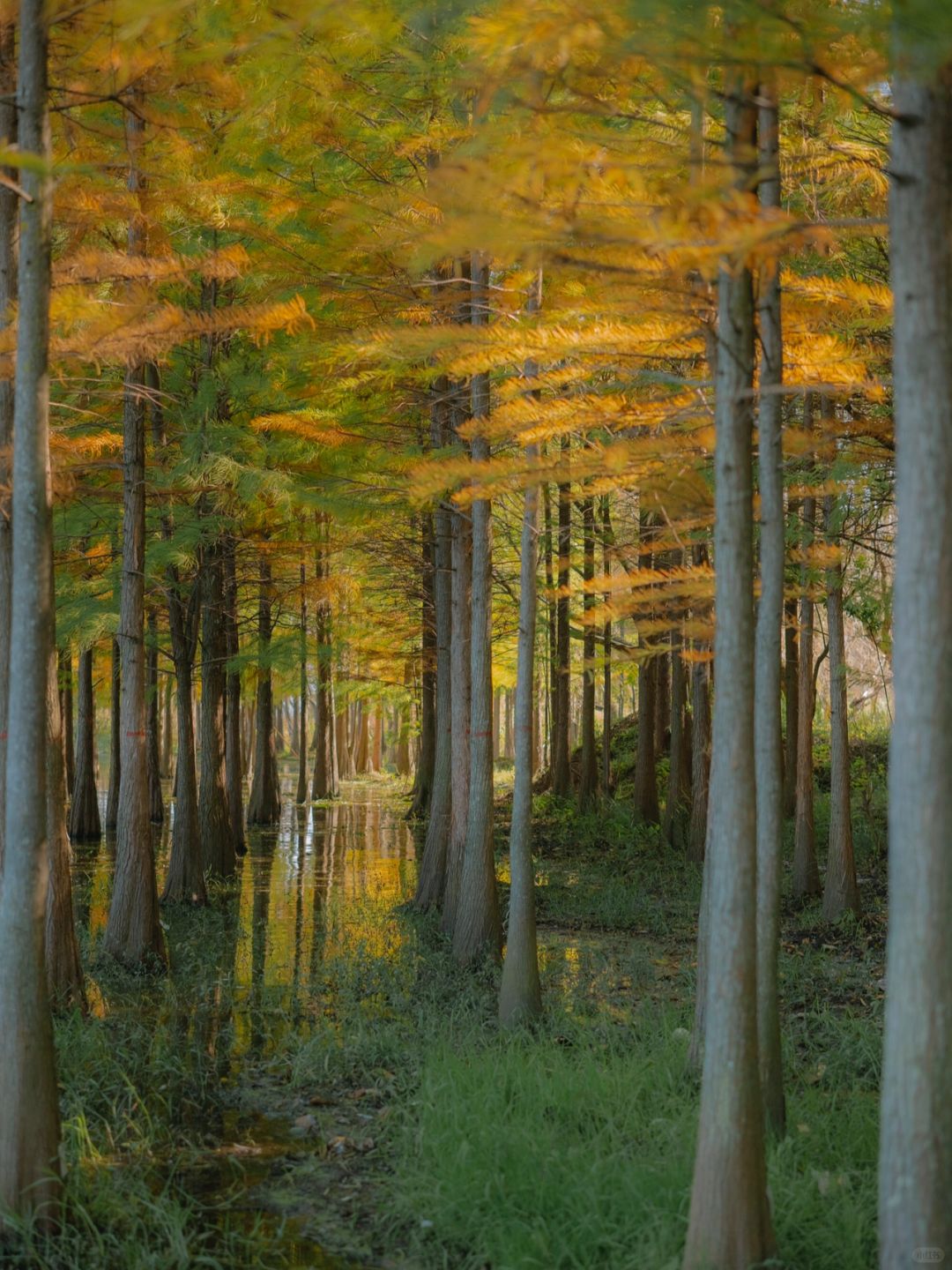 朋友圈夸爆！大理像画一样的风景！