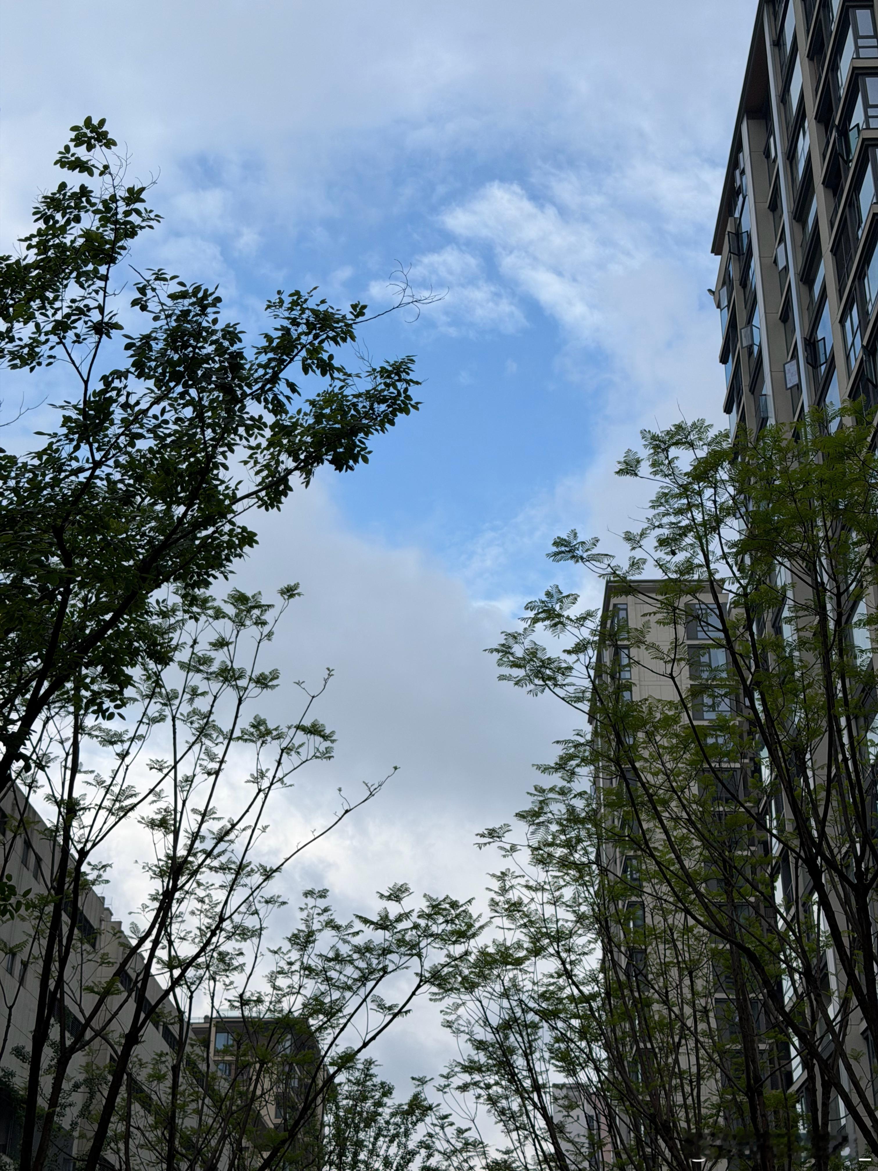 今天是个好天气呀，话说突然发现OPPO的Ultra也出来了，大家好像都不满意价格