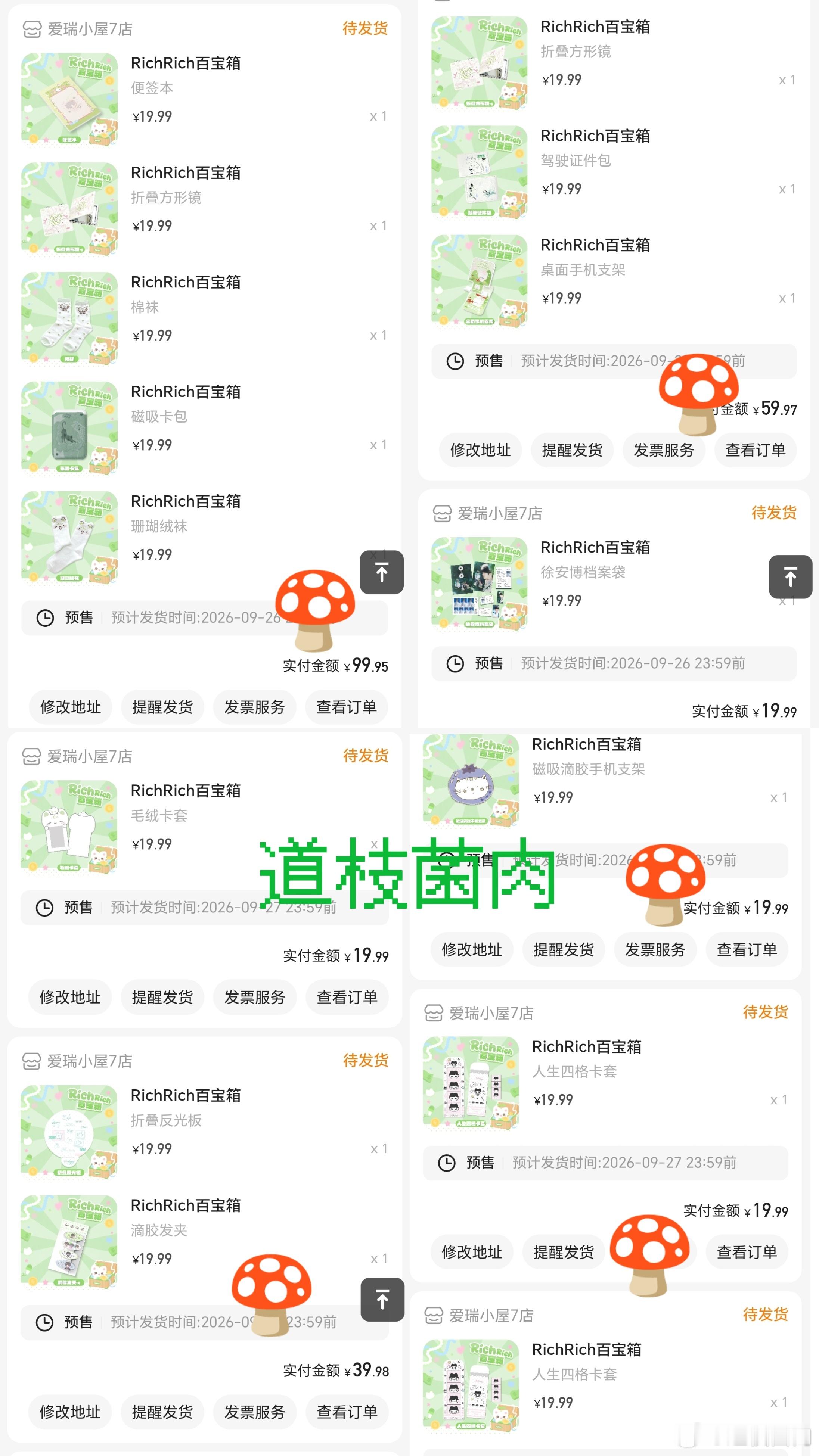 存一下端午ccl  专栏 · 养猫