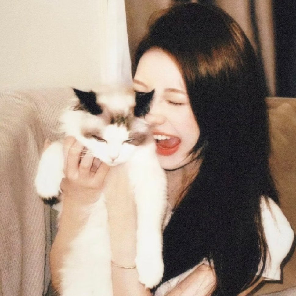 𝙒𝙚𝘾𝙝𝙖𝙩｜优质女生头像｜复古氛围感头像｜图源网络侵删 