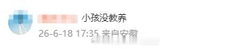 有些带V的维护雷总，帮雷总解释没模仿黄仁勋能理解，但是很多对小女孩恶意攻击的是什