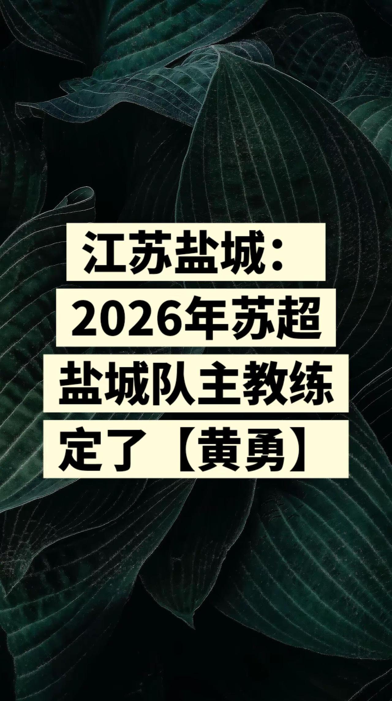 江苏盐城：2026年苏超盐城队主教练定了