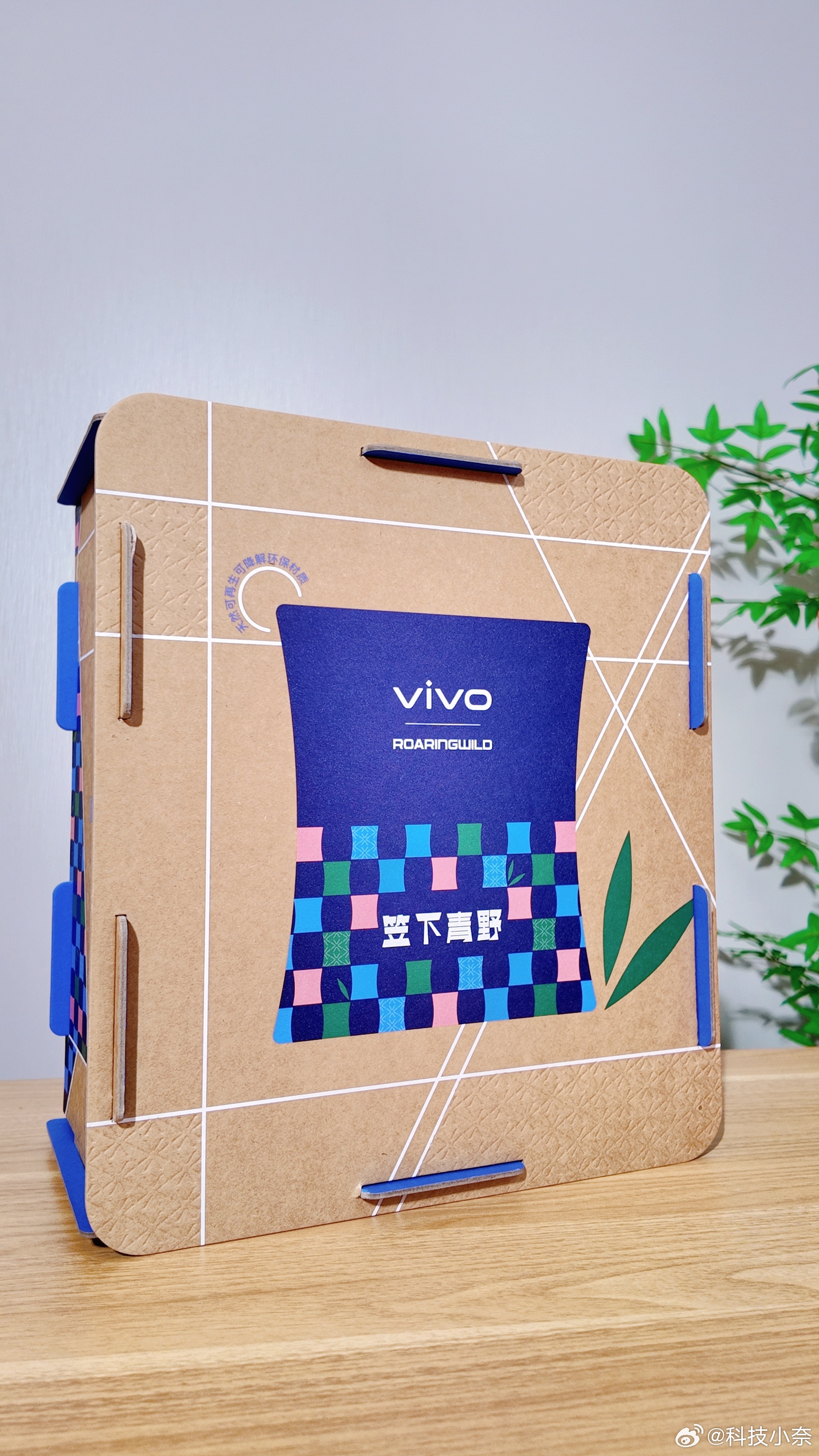 收到 vivo 笠下青野 2025 端午礼盒！ 整个包装都是环保可降解材料，里面