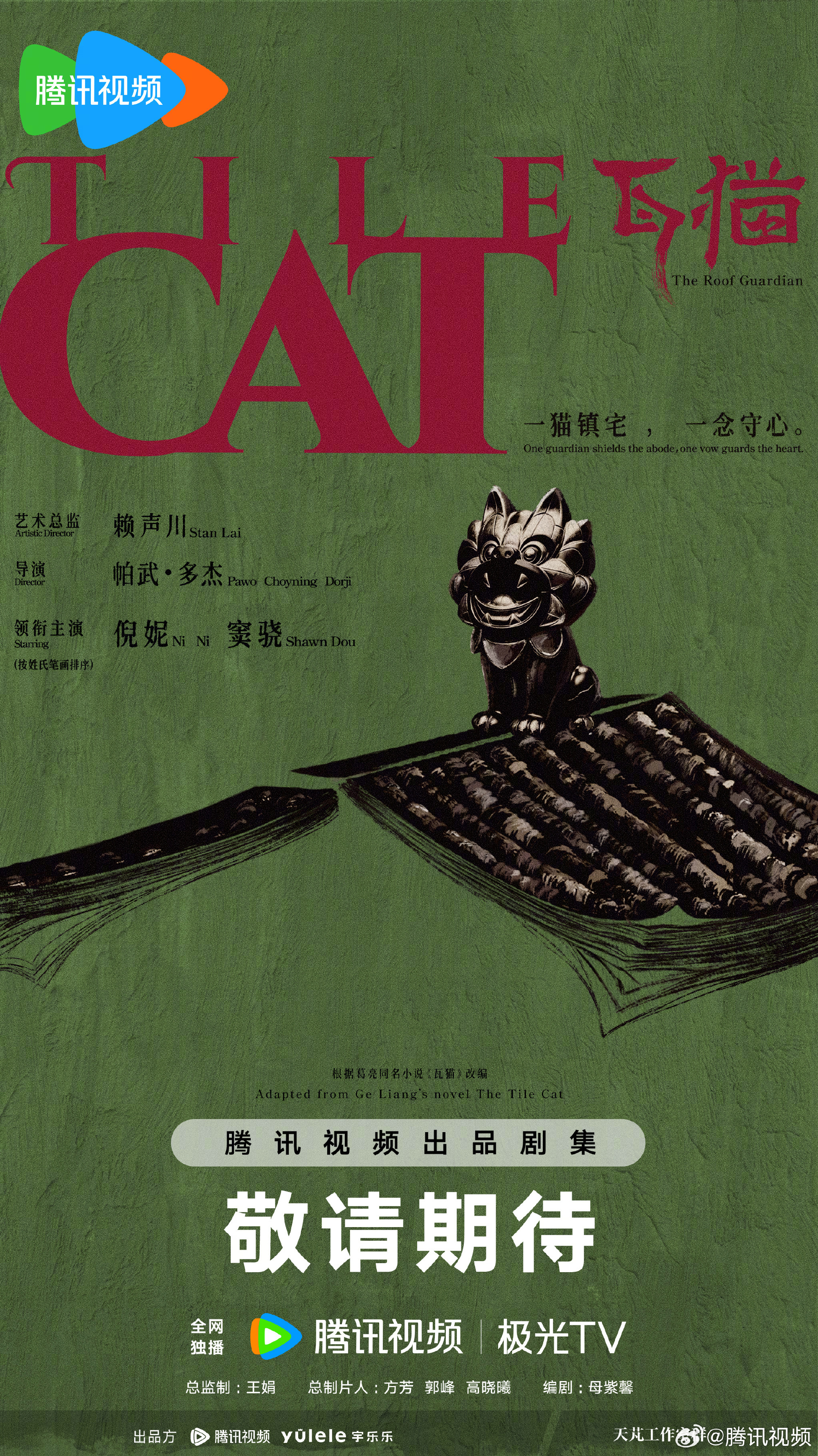 电视剧瓦猫 领衔主演 ​​​