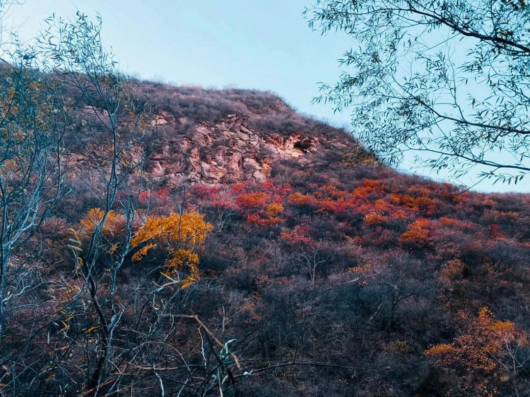 #秋日生活打卡记# 秋天，最令人向往的就是秋天的山。漫山遍野的红叶，层林尽染的湖