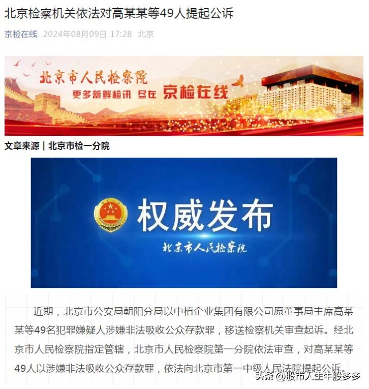 中植企业集团原董事局主席高某某等49人被检察机关依法提起公诉，罪名是涉嫌非法吸收