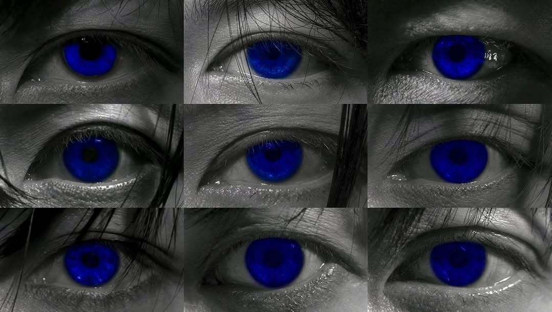 “CB百蓝_。260330利特 IG更新：猜猜是谁的眼睛吧👁️ 