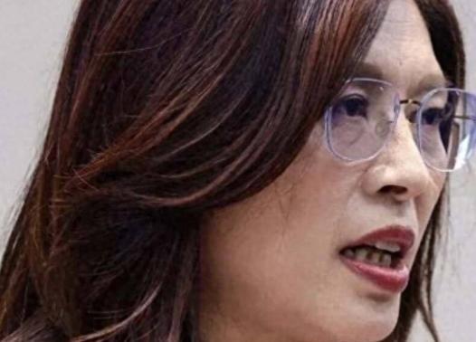 郑丽文这下彻底栽惨了！明明蔡正元、郭正亮两位政坛前辈苦口婆心反复劝她收敛，她偏盲