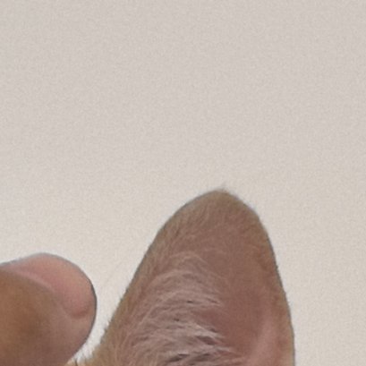 日落是免费的，春夏秋冬也是，不要觉得人生是那么平淡，希望你快乐。我们总是为许多遥