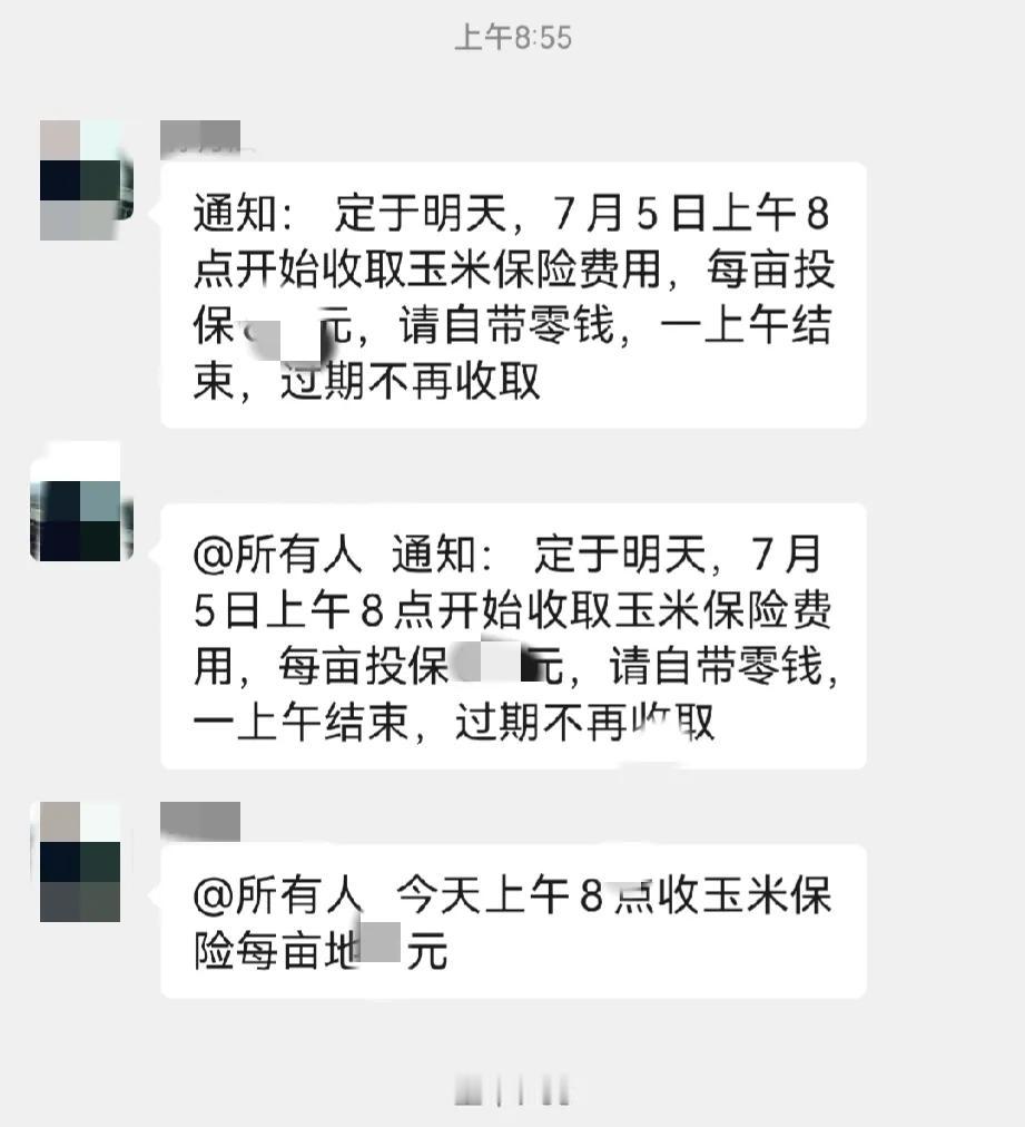 给地里的庄稼上保险到底靠不靠谱？
接到村主任传达的通知： 定于明天，7月5日上午
