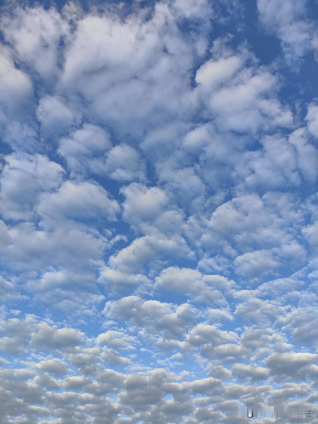 在一个视频评论里看到这么一个词:“城巴佬”，突觉甚为有趣。
起因是网友买了一箱赣