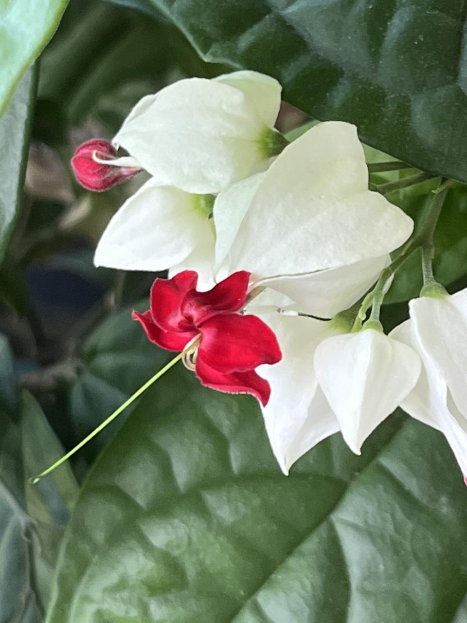 我的今日状态：😁轻松愉快
我这里的天气：🌧下雨

夜里不知道什么时候开始下起