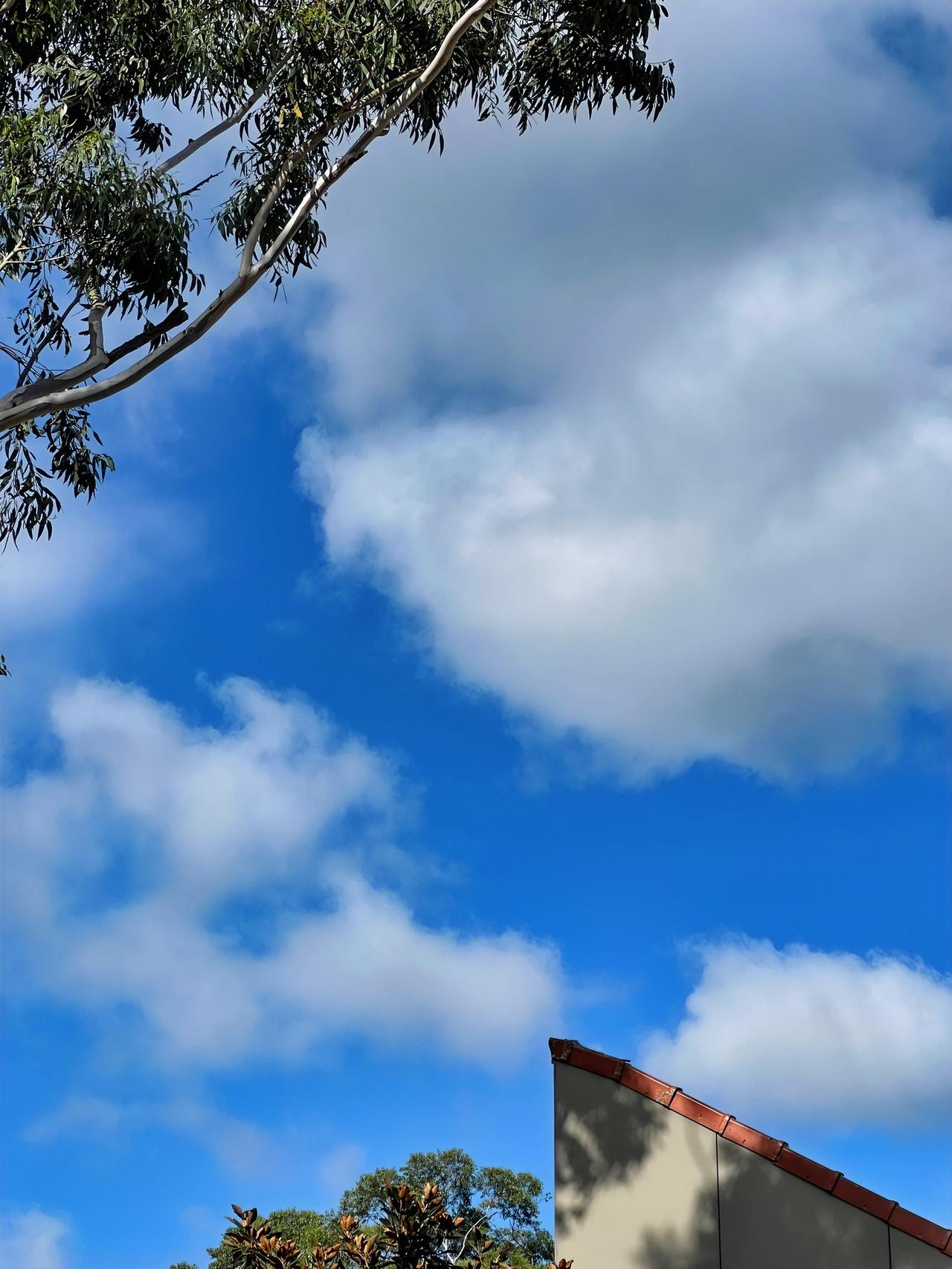 叔本华说“人们最痛恨那些说出了真相的人”，这话太对了。就像柏拉图说的，在骗子和傻