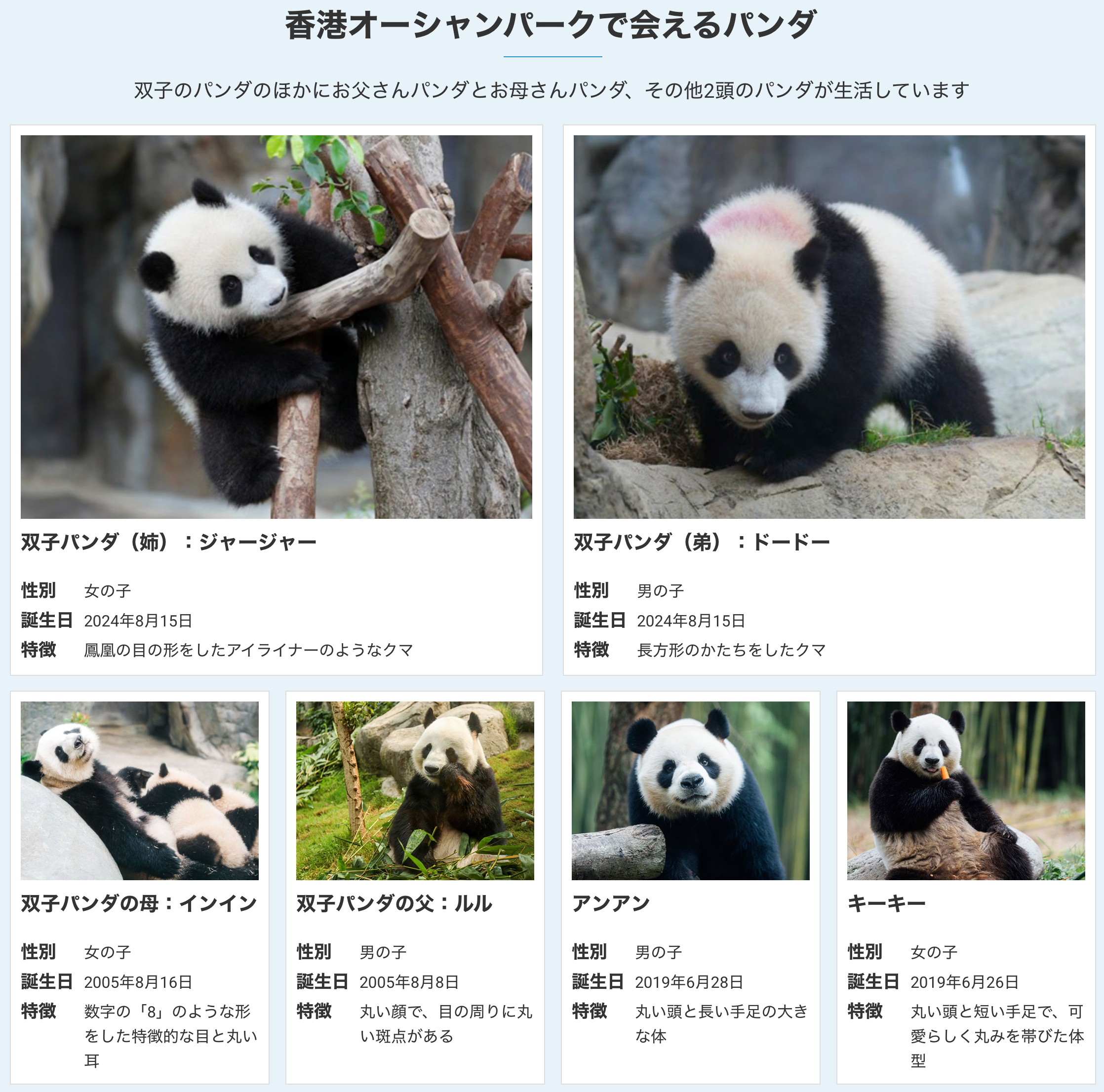 大熊猫  大家也都知道，日本已经没有大熊猫展出了，但最近老刷到日文字样的大熊猫广