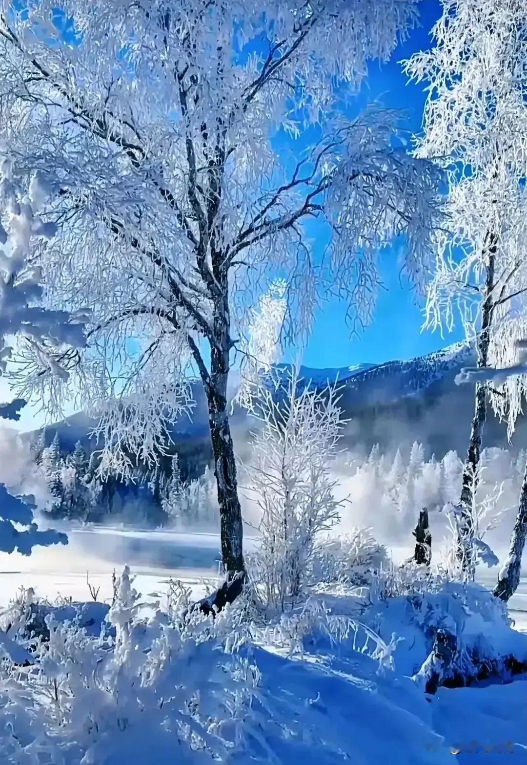 雪树银花白，冰天雪地寒。愿你所愿皆所得