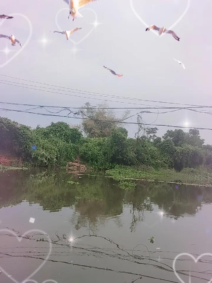 银行午休该不该保留