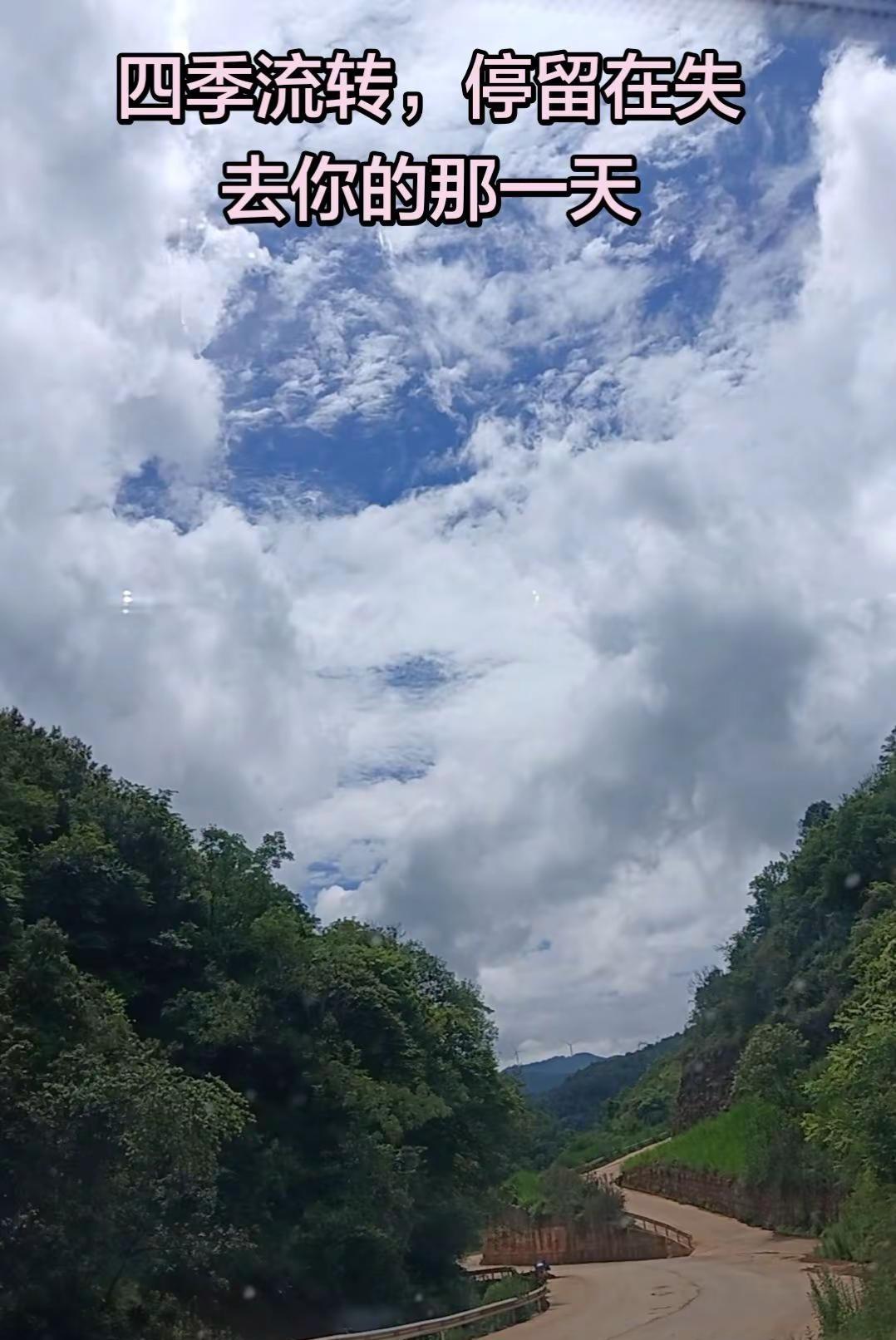我总被困在你离世的那一天。旁人都说时间会治愈一切，可我走得出四季，却走不出那一天