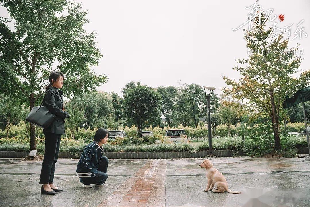 #再见李可乐 这狗比我都懂事#我好喜欢这部电影里的狗狗，《再见，李可乐》以深刻的