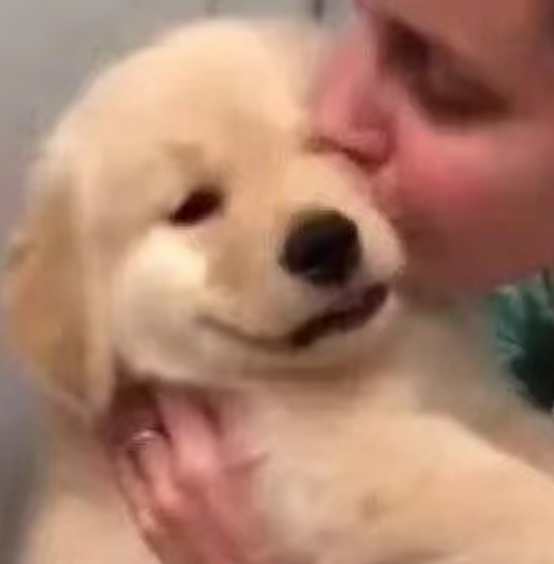 大家十月有遇到什么小可爱吗？ ​​​