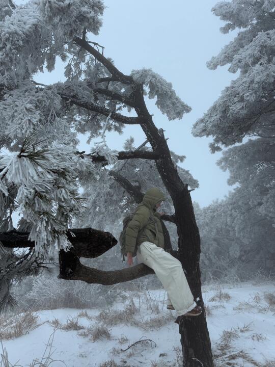 别看太子尖的雪了，想冲就冲吧！！