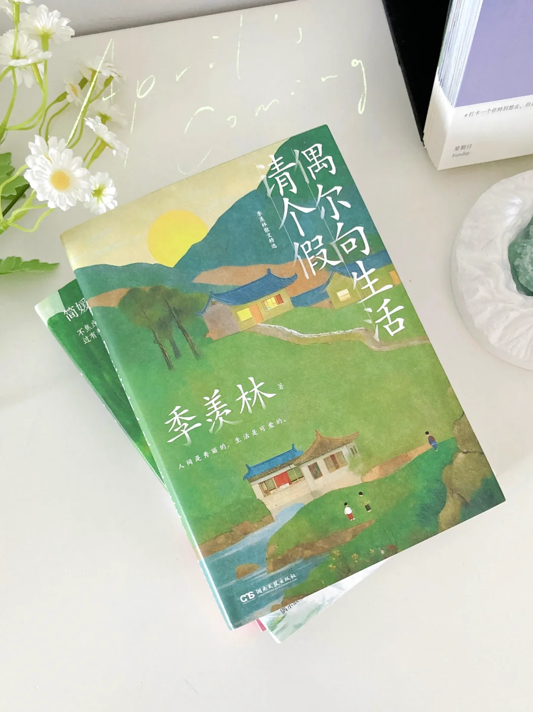 🌿春天就读散文，真的太太太治愈了❗️