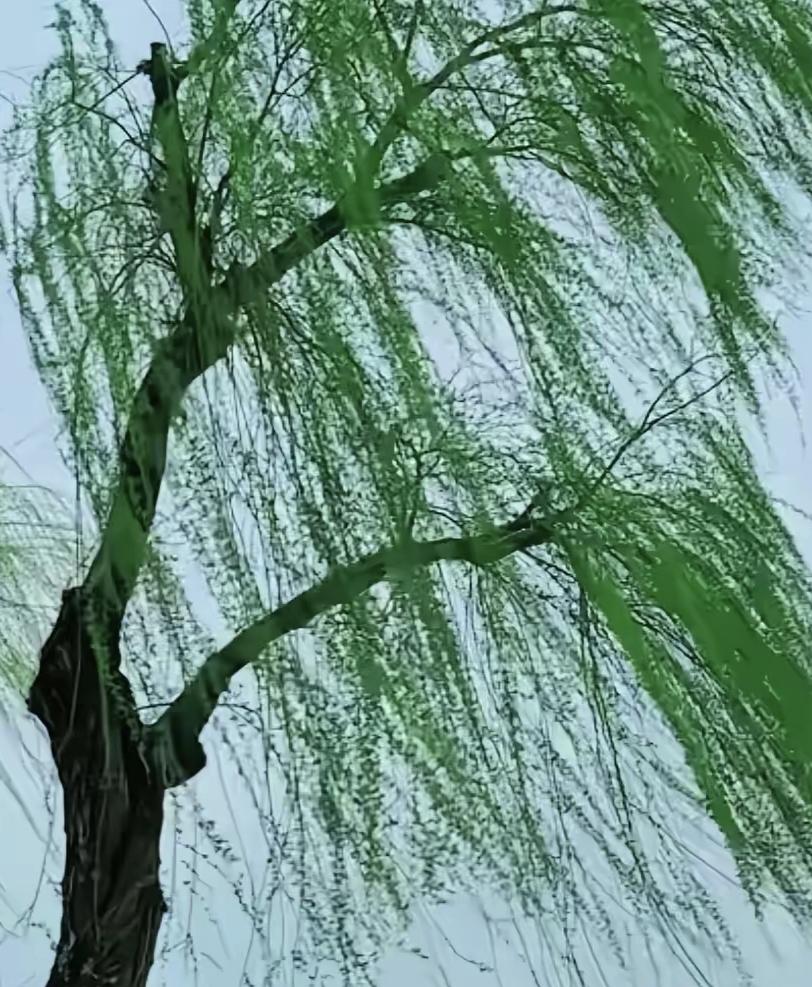 《七律•踏春4》
作者：转转看到


细雨蒙蒙落九天，
清风徐徐过山川。
芳林花