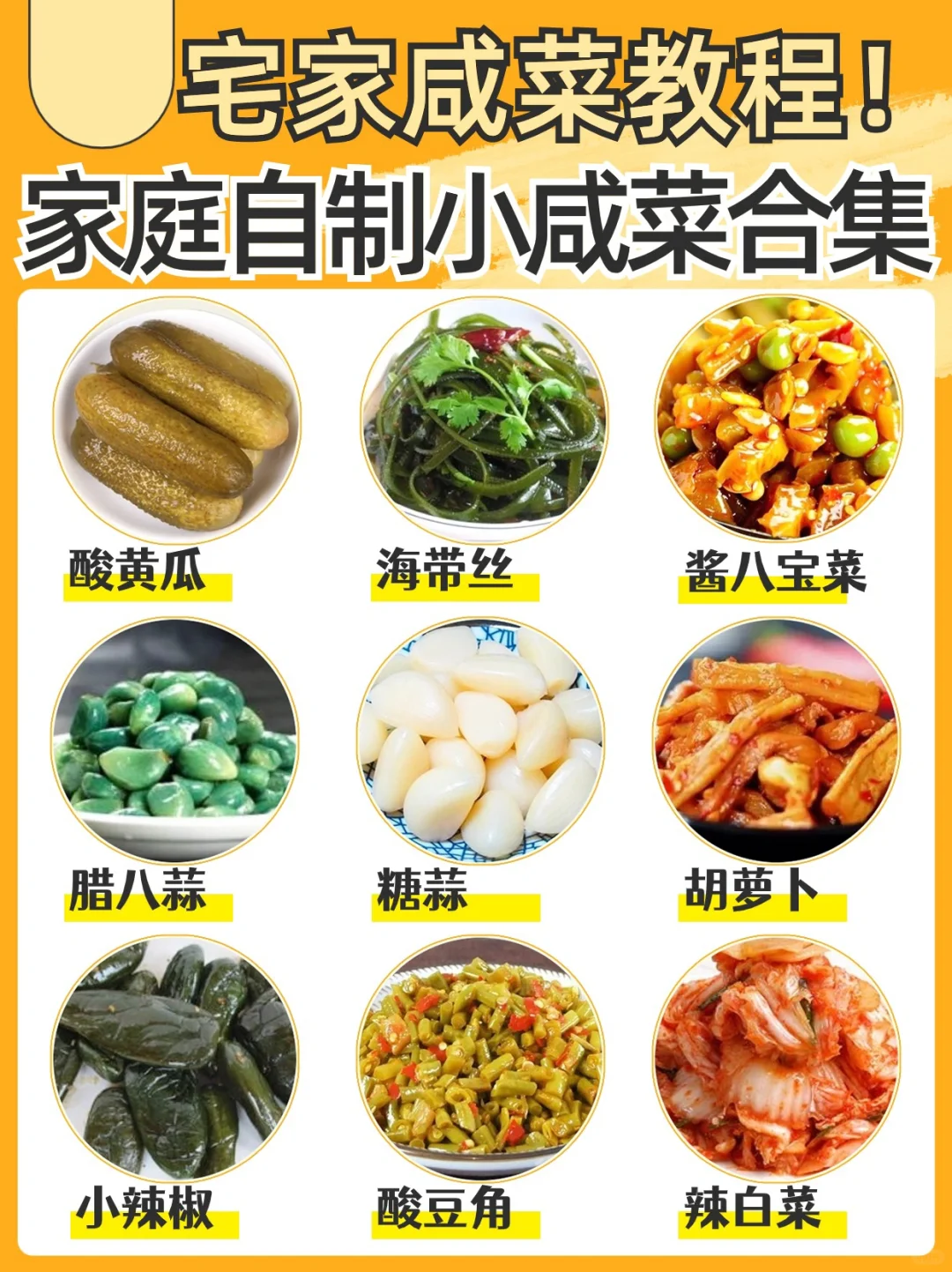 9⃣️种宅家自制小咸菜合集🔥内附制作教程✅