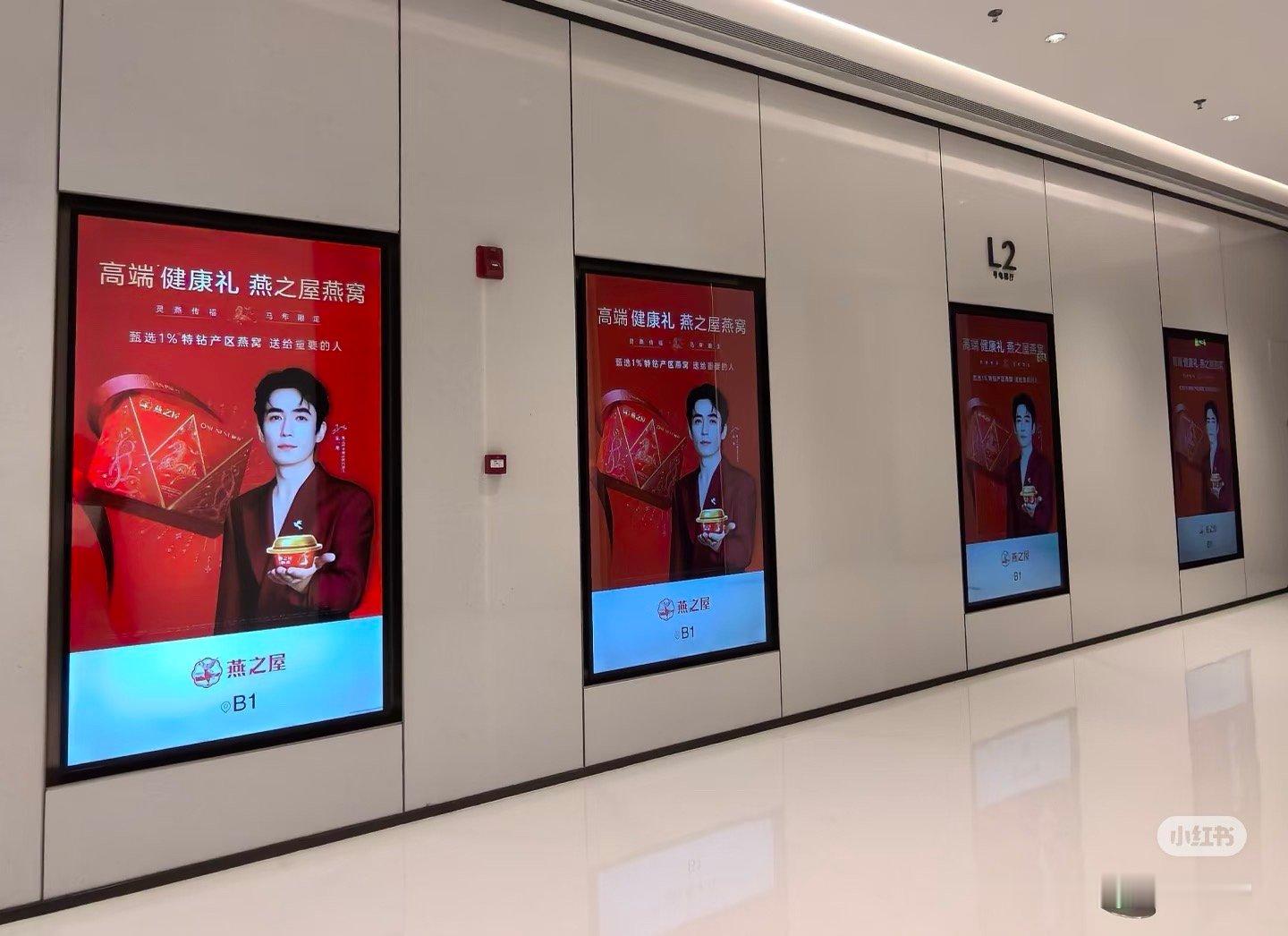 燕之屋地广 朱一龙燕之屋全球品牌代言人