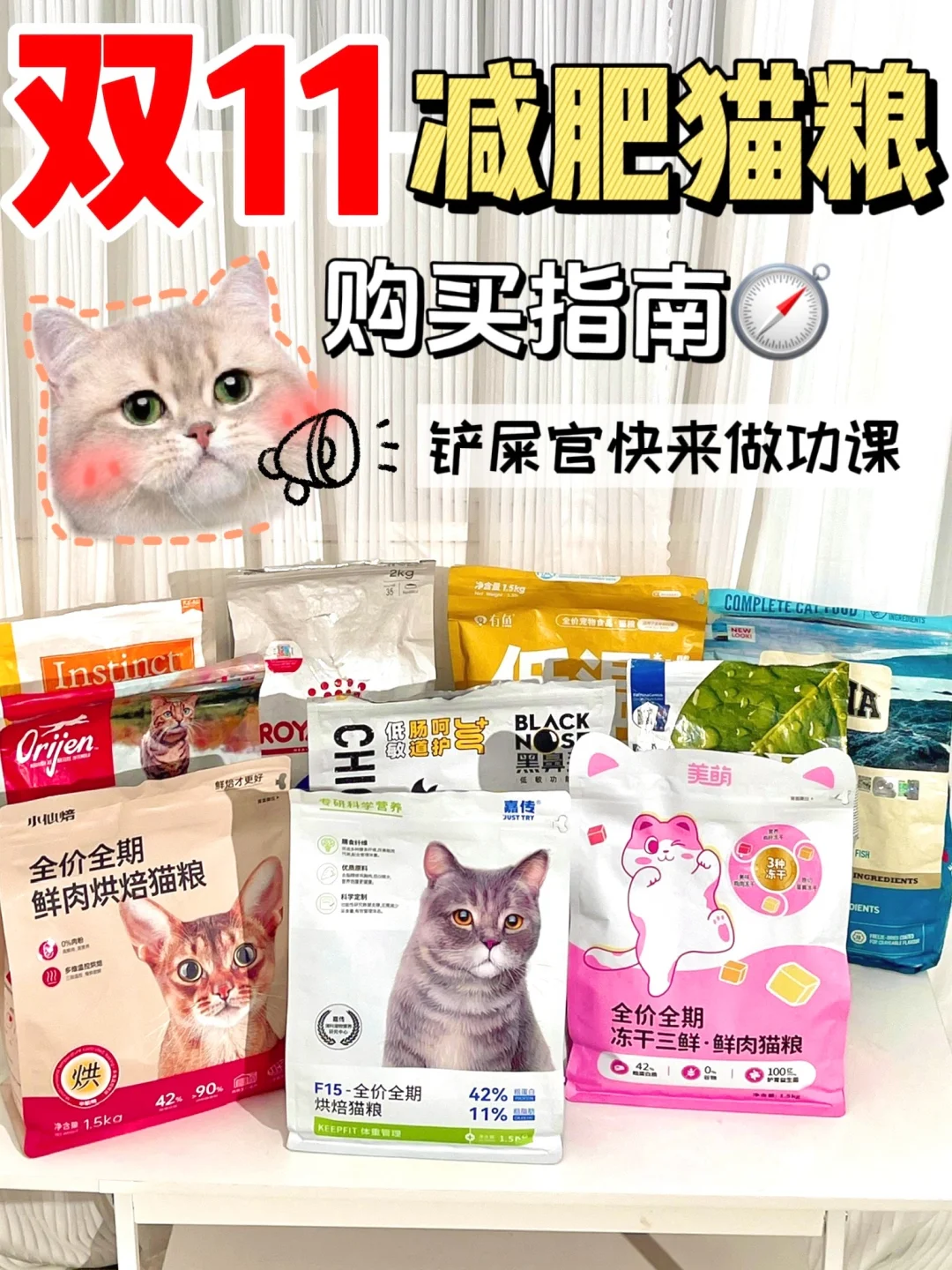 双十一减肥猫粮购买指南|做对功课选对粮✔
