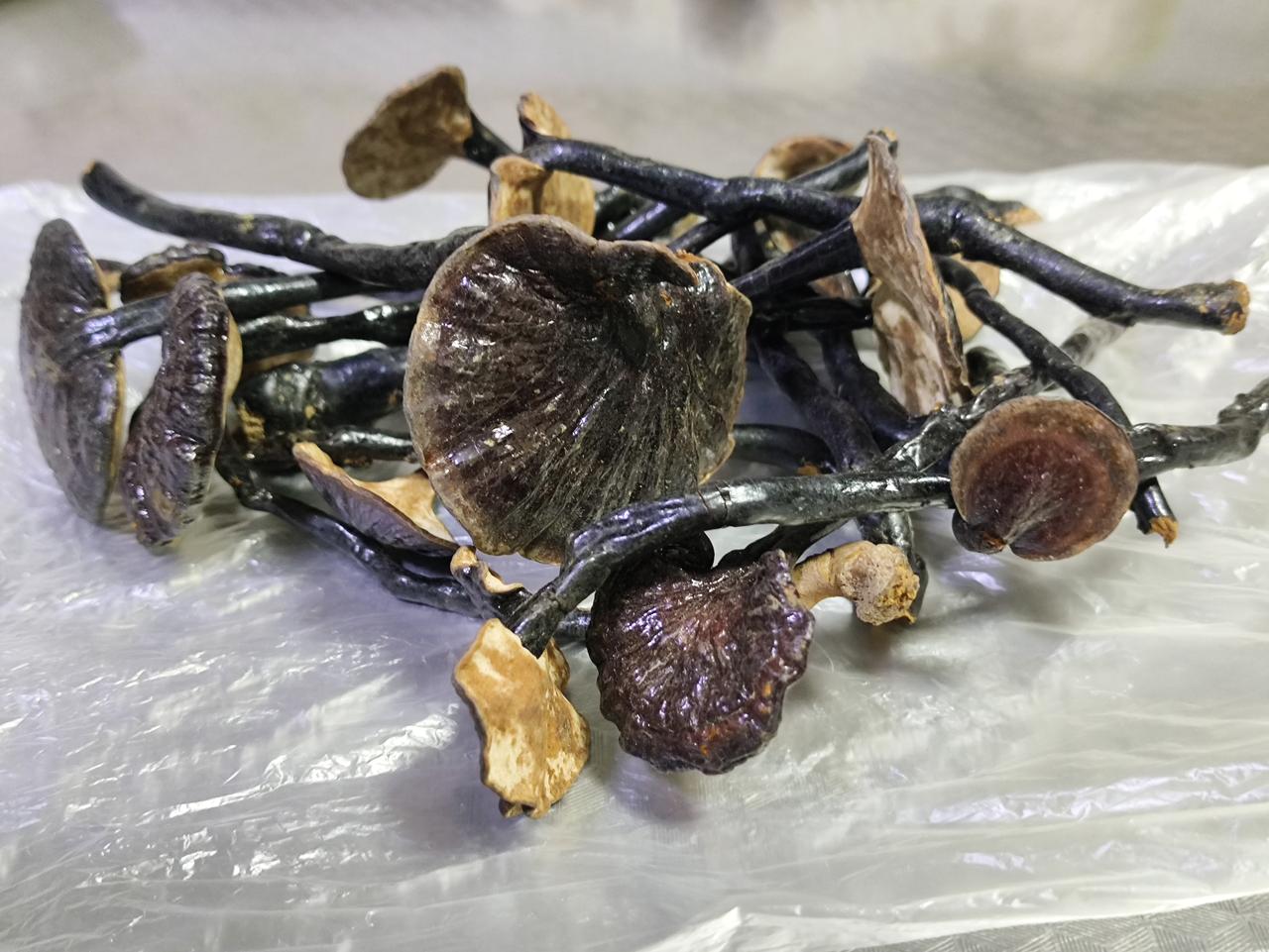 这是妹妹给我的竹灵芝，她说可以用它泡水喝。我不知该怎么食用，便去询问，豆包逐一作