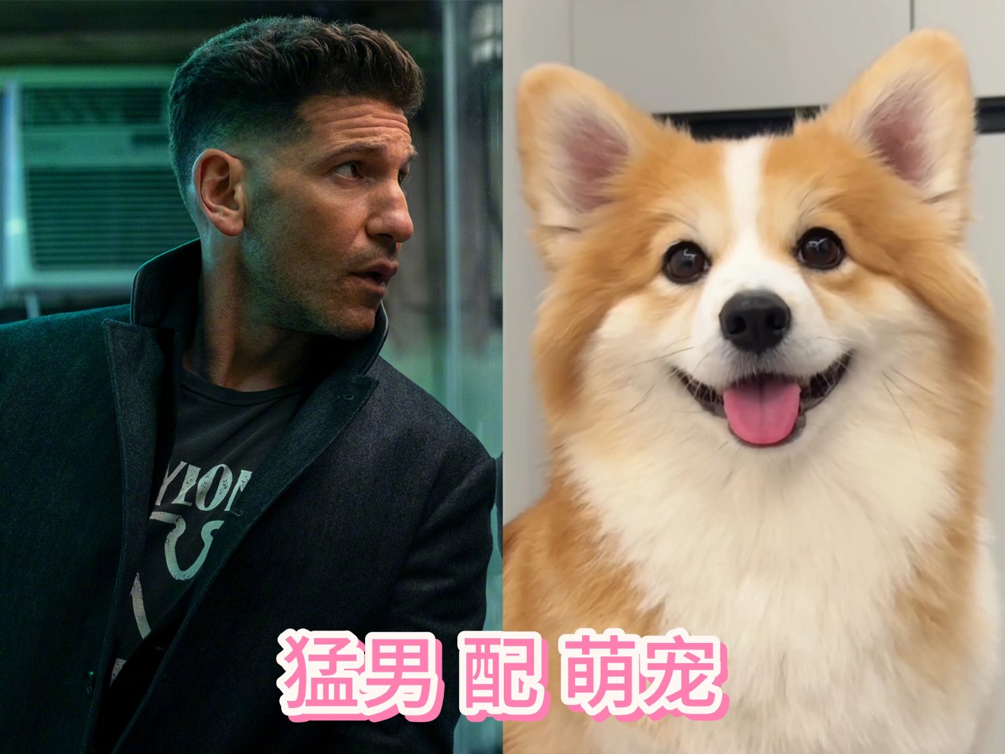 硬汉遇到它也被钓成翘嘴刺客布莱斯顿冷酷无情，黑暗气场满满，但一提到狗狗，他那颗铁