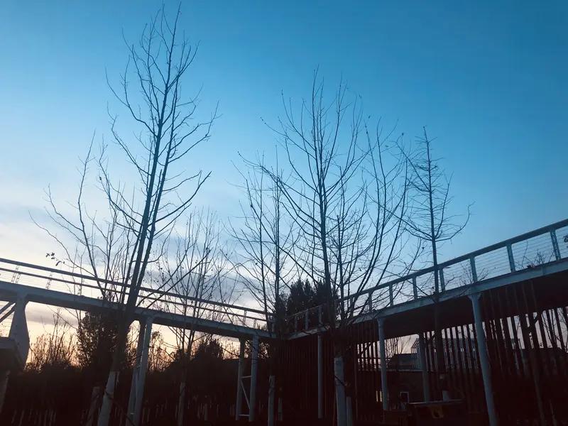 幸福是饥有热饭、冷有暖衣，是家人闲坐、朋友畅聊的归属感，是为热爱全力以赴后的欢喜