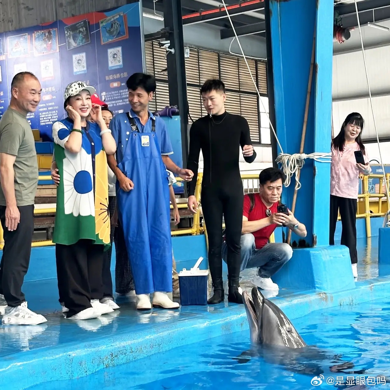 刘晓庆现身云南，参观海豚之家！她确实老了很多，毕竟都70多岁的人了，但是她的精气