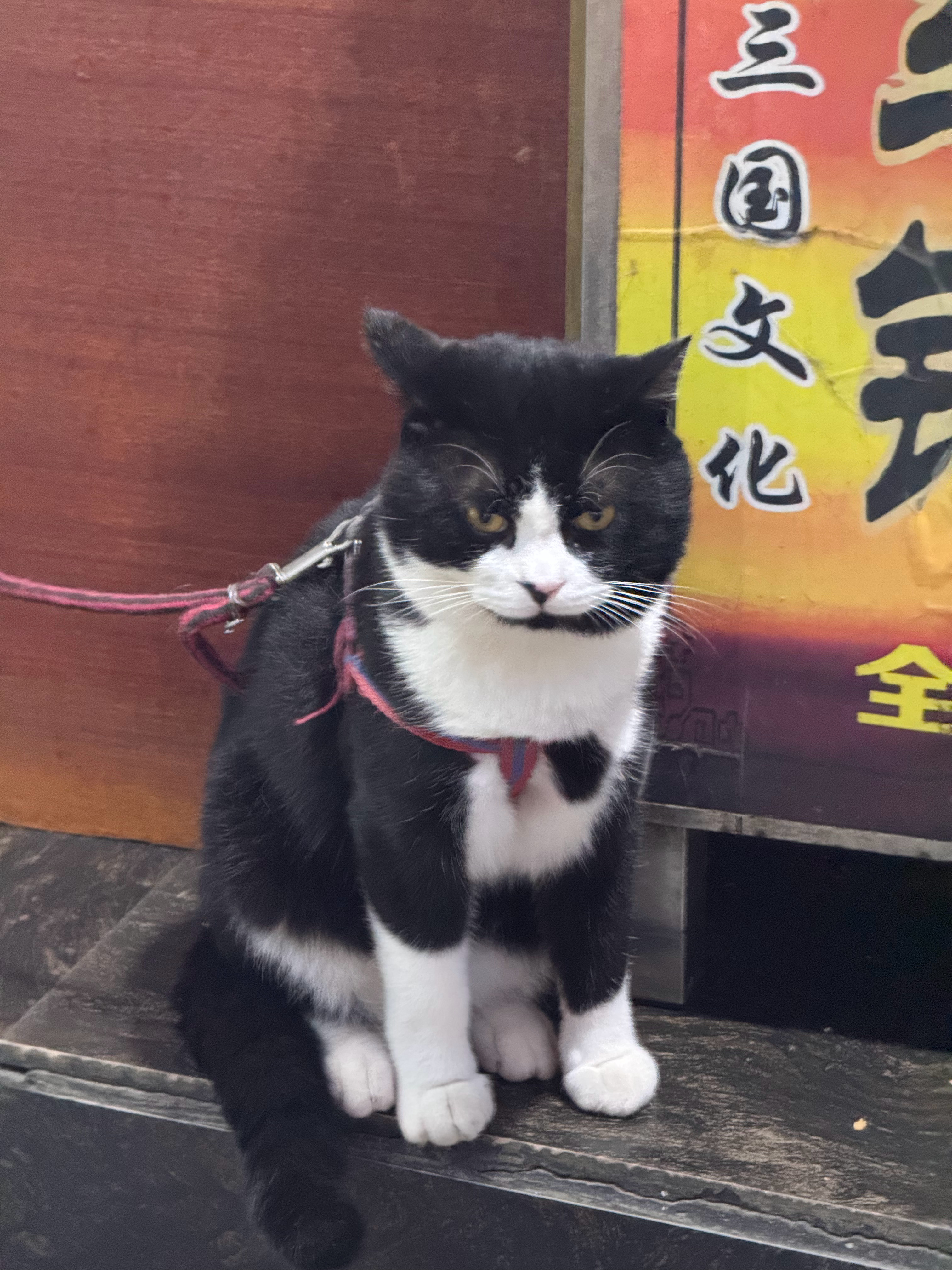 36岁存款30万决定提前退休不是，真的够吗[捂嘴哭]30万的话，感觉就得自己种地