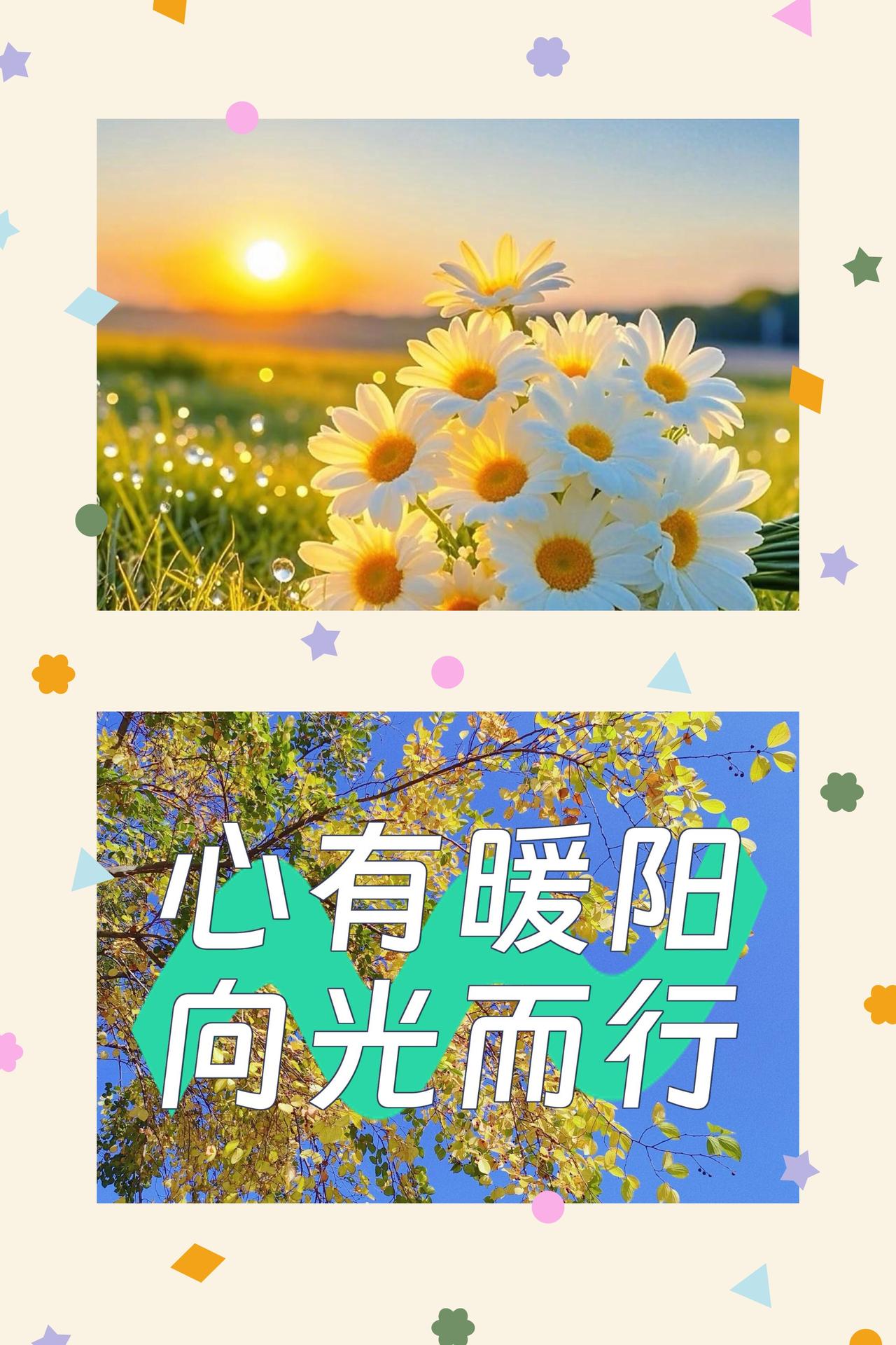心有暖阳，所见皆温柔
生活如一面明镜，默然映照世间百态，也照见最真实的人心。你以