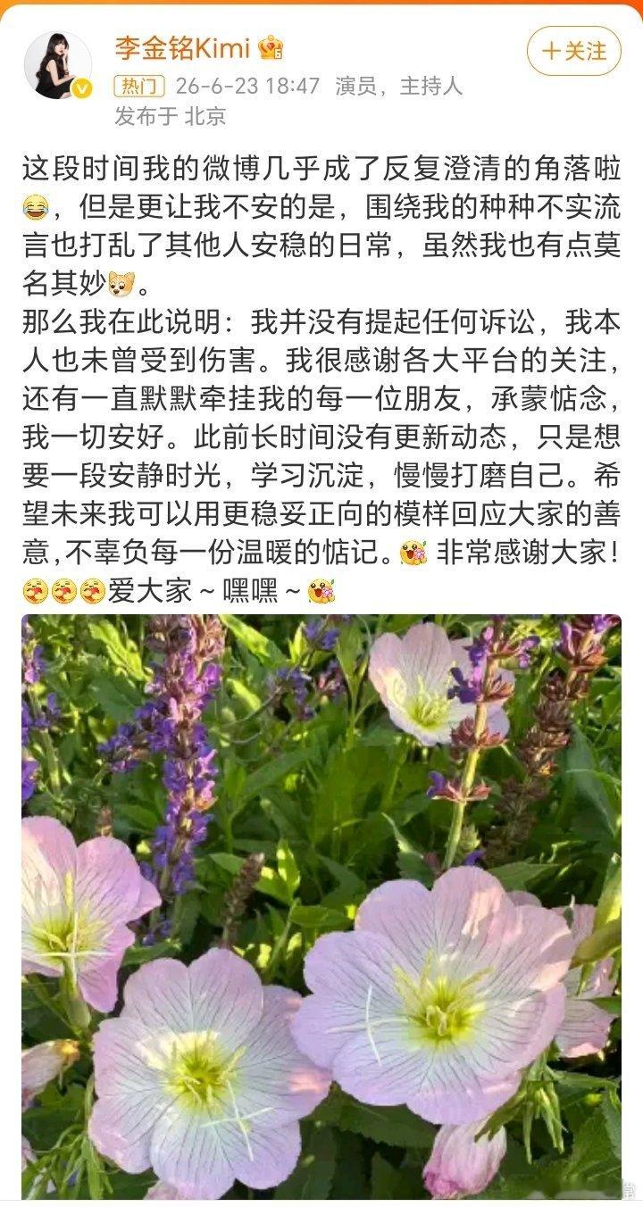 李金铭回应体面不是软弱，法律才是终结纠缠的唯一答案李金铭一句“没有人伤害我”让多