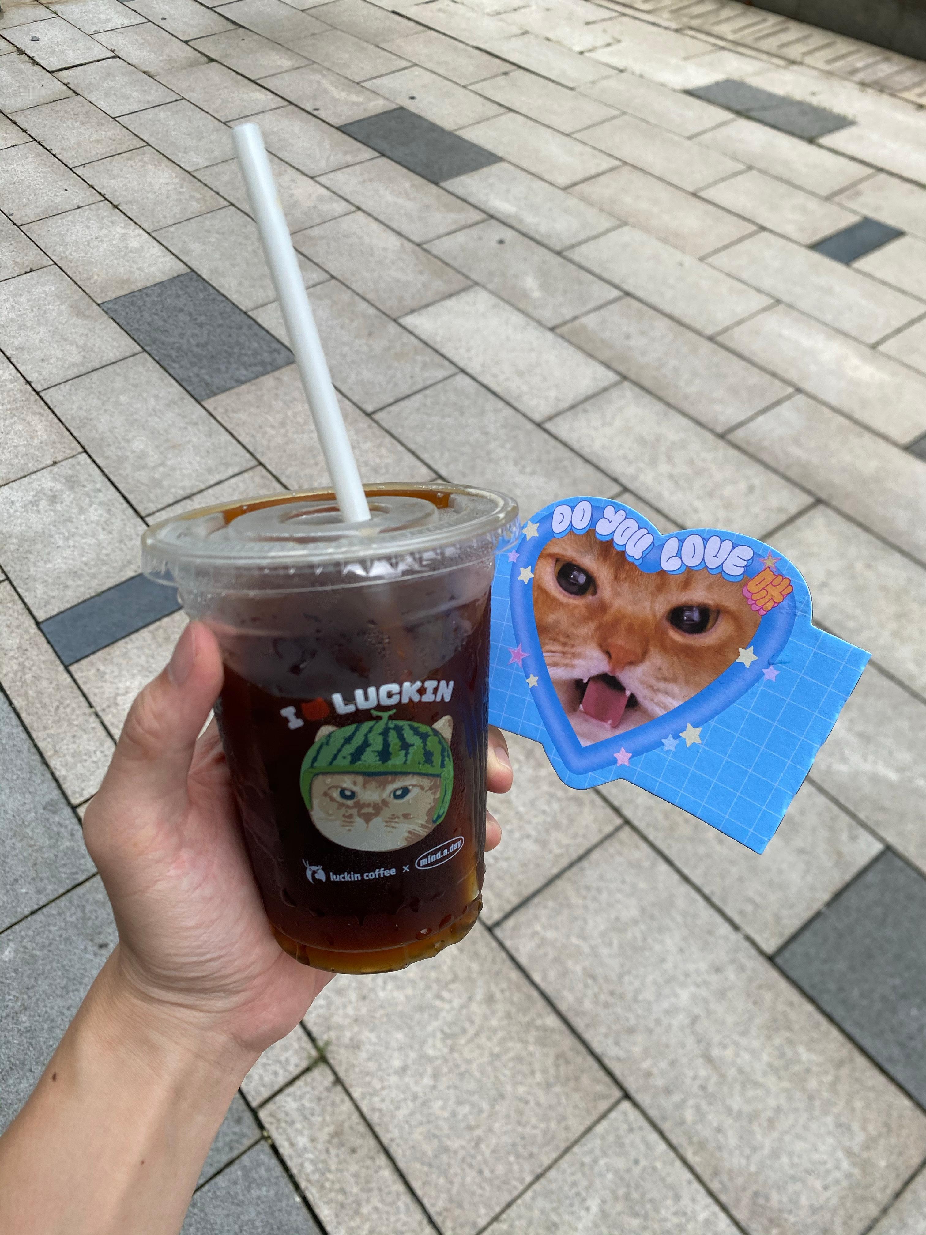 今天喝一杯[柯基] ​​​