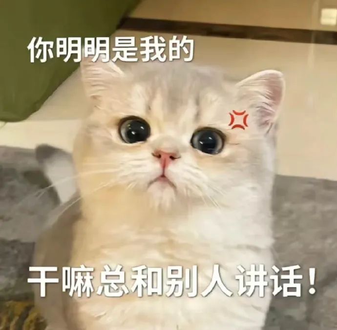 沙雕表情包，让沟通不仅仅是文字的艺术！ 更新不易，拿图点赞[心]更多表情包请看主