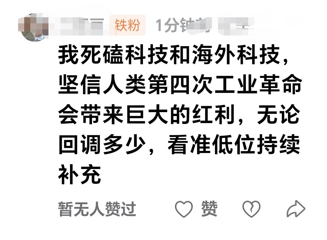 基金：我死磕科技和海外科技，坚信人类第四次工业革命会带来巨大的红利，无论回调多少